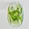Actinotaenium subtile