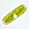 Cylindrocystis gracilis