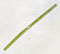 Docidium baculum