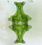 Euastrum insigne