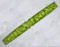 Pleurotaenium coronatum