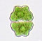 Euastrum binale