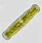 Penium exiguum